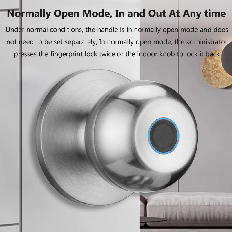 Tuya Door Lock Smart Fingerpri - огляд і ціна Smart Home Door Lock