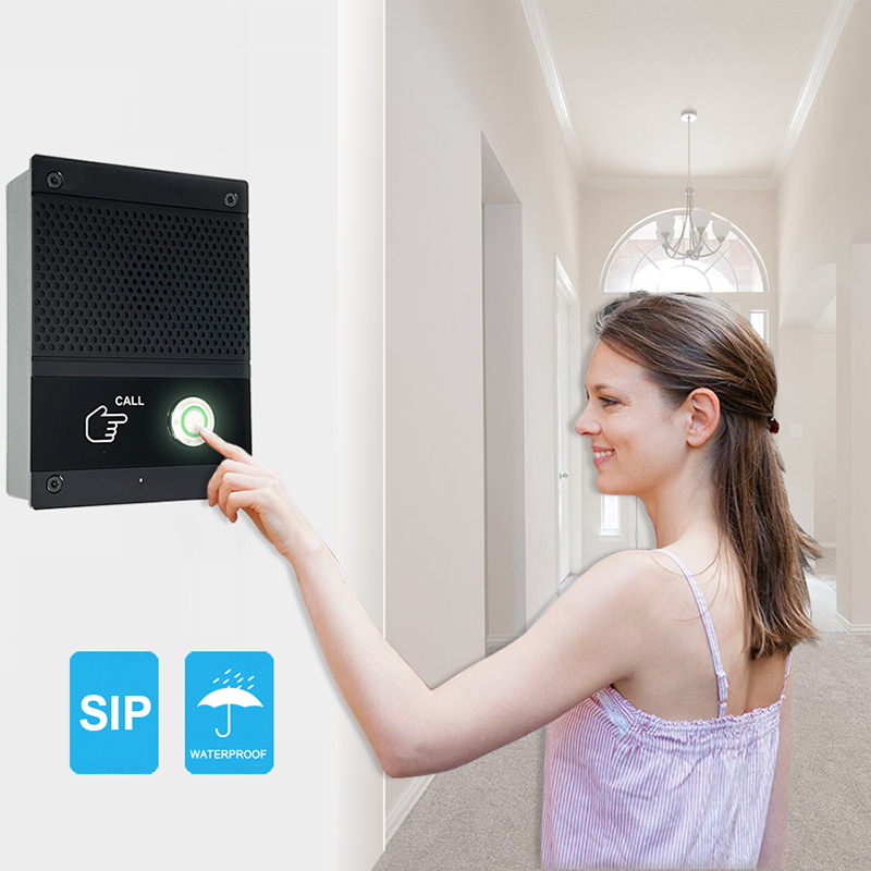 SIP Intercom Voice Control Doo - огляд і ціна Smart Home Kit