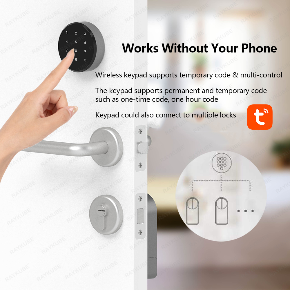 RAYKUBE A1 Pro Tuya BEL Smart  - огляд і ціна Smart Home Door Lock