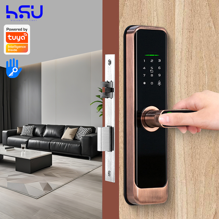 Digital Smart Doorlock Passcod - огляд і ціна Smart Home Door Lock