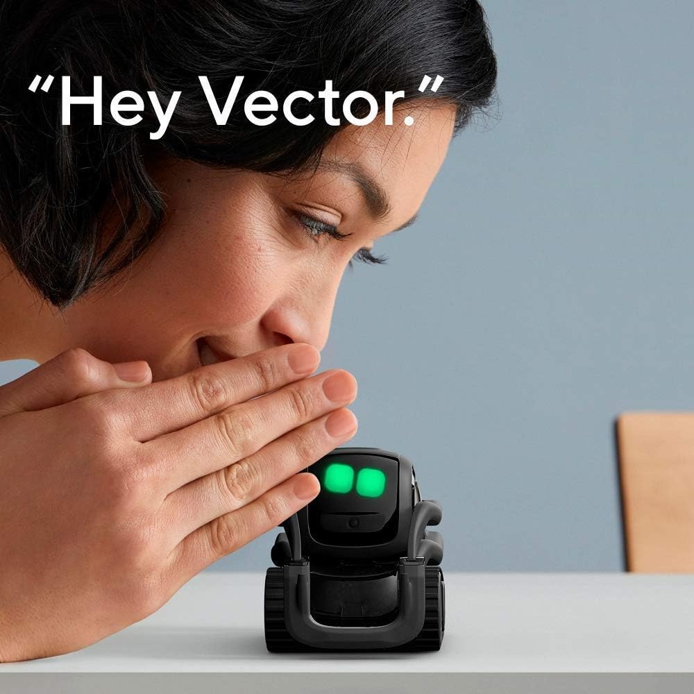 AI ChatGPT 2.0 Connected Robot - огляд і ціна Smart Home Remote Control