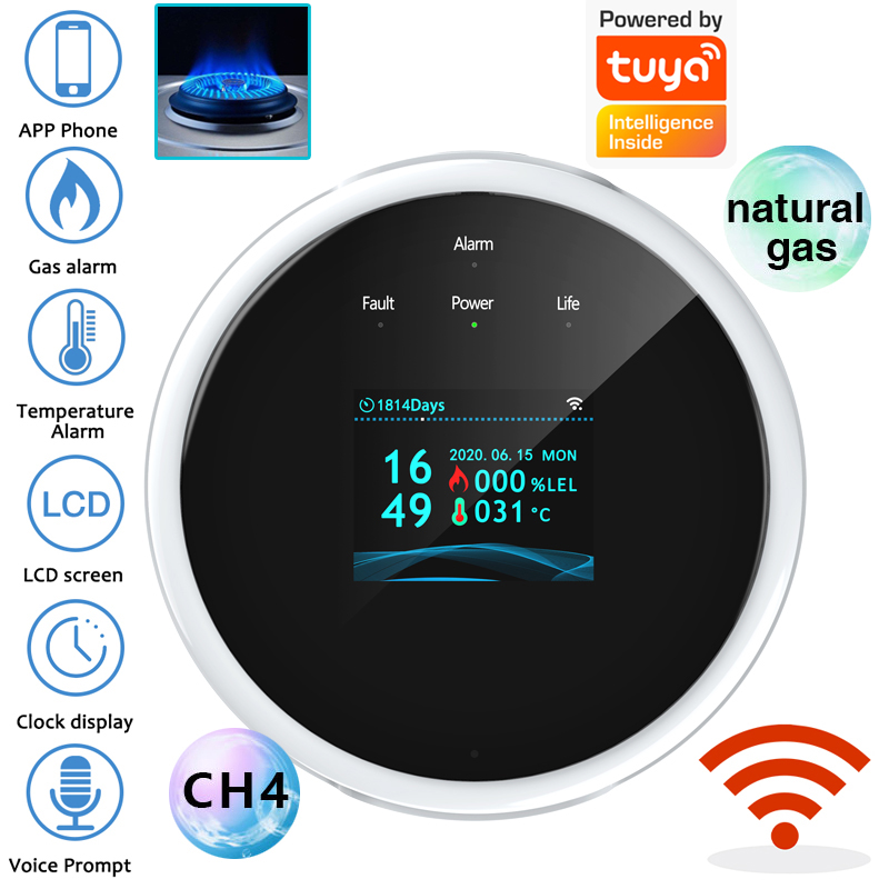 2.4G WiFi Gas Alarm Sensor Com - огляд і ціна Smart Home Web