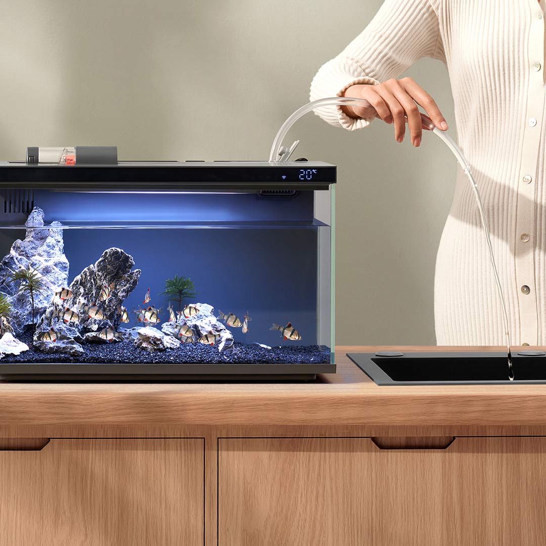 Xiaomi Mijia Smart Fish Tank M - огляд і ціна Smart Home Yeelight